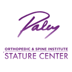 The paley institute